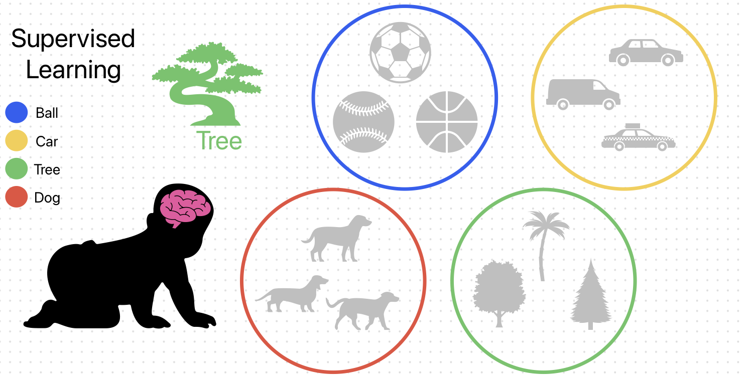 A neural network mapping dog and muffin images through hidden layers to produce the correct output label based on thousands of labeled training examples